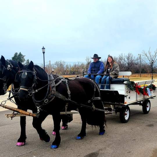 Holiday Carriage Rides