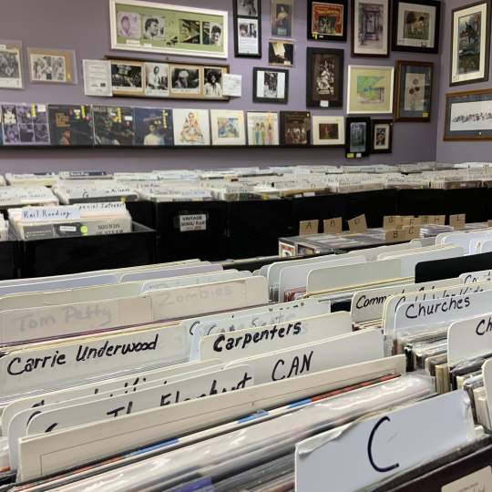 3 Dachshunds Records