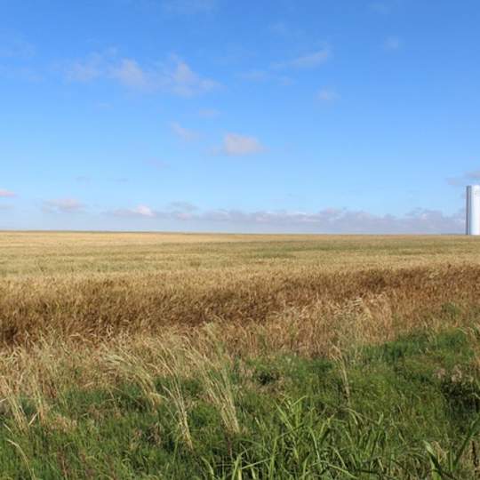 Oklahoma Biomes Along Route 66: 100 Years of Change