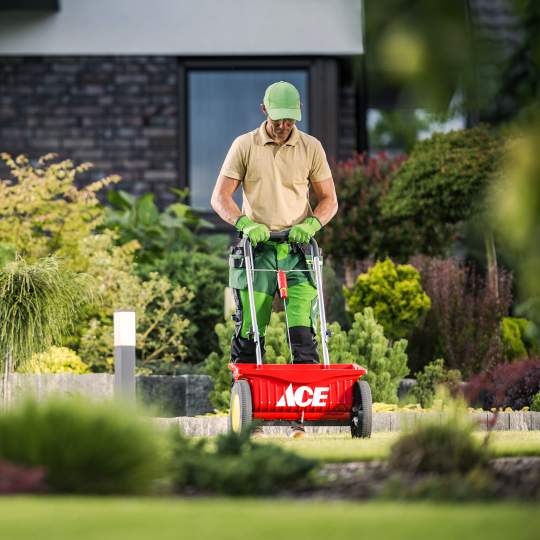 Westlake Ace Hardware