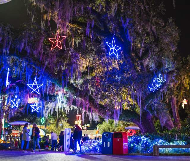 Celebration in the Oaks