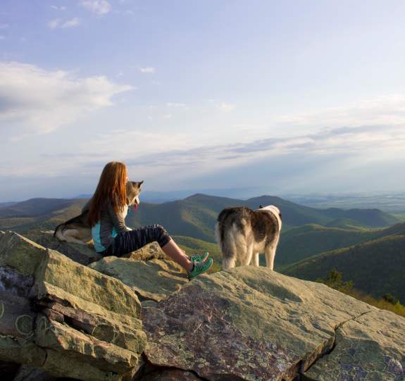 Unleash an Adventure with Your Four-Legged Friend in Page Valley