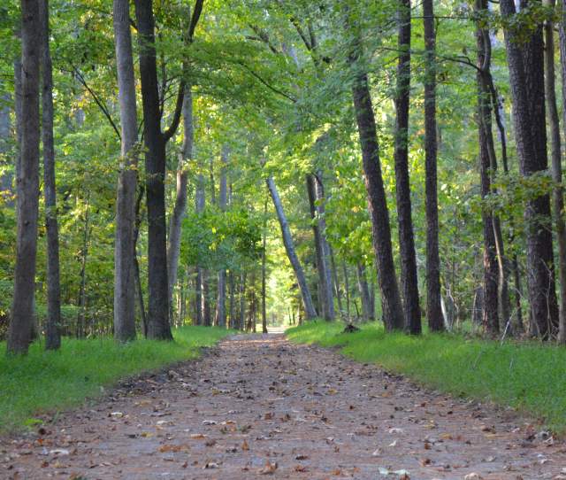 11 Things You Need to Know About Newport News Park