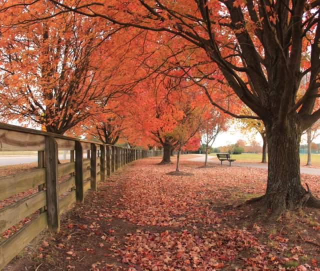 Riverview Farm Park