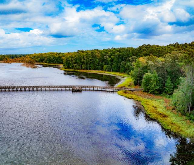 Newport News Park