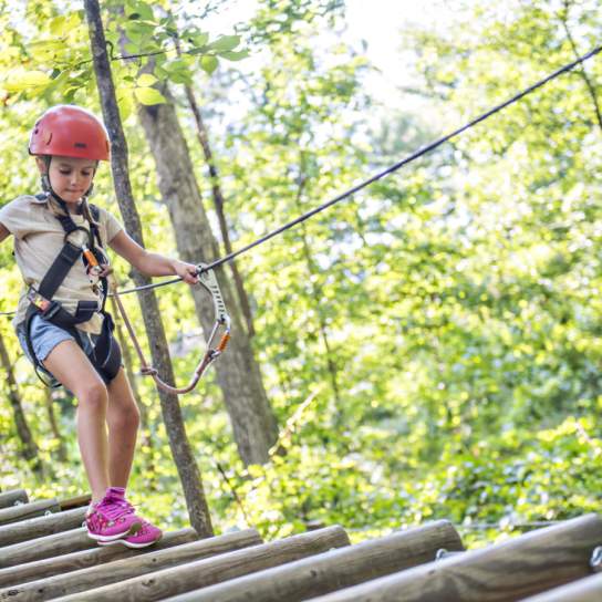 15% OFF AT TREETOP QUEST GWINNETT