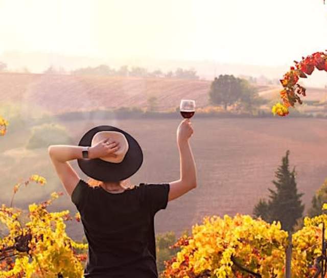 Journey Through the Vines: Women in Wine Showcase