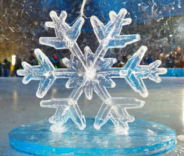 Ice Sculpture