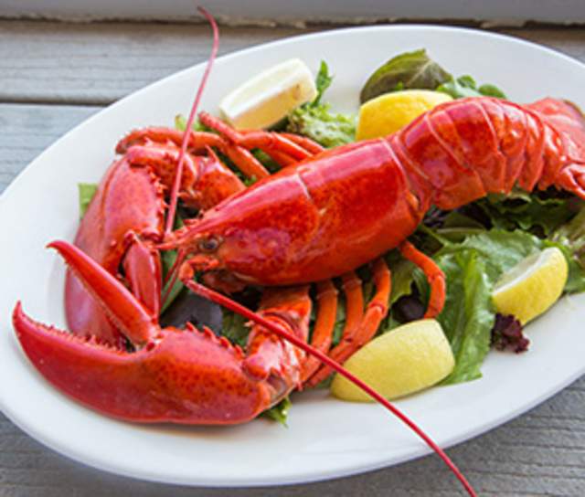 lobster
