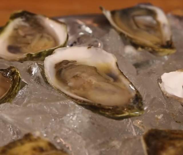 Shuck Like a Pro