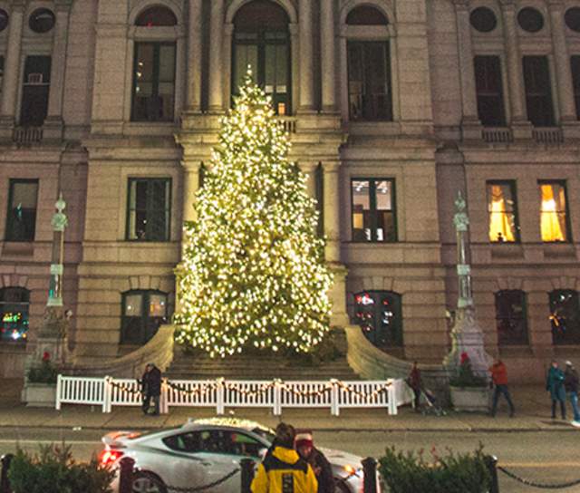 City Hall Tree Lighting