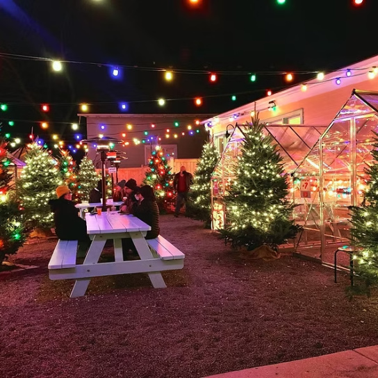 Making Spirits Bright: Milwaukee’s Holiday Bars and Pop-Ups