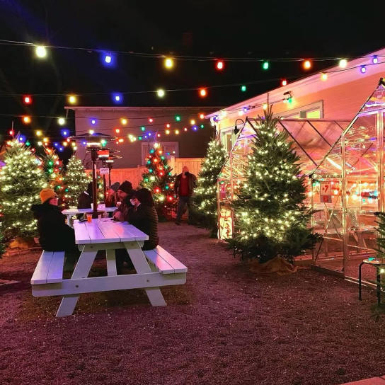 Making Spirits Bright: Milwaukee’s Holiday Bars and Pop-Ups