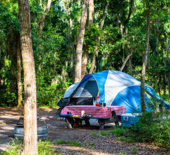 Camping on the Georgia coast brings you even closer to the wonder and awe of nature.