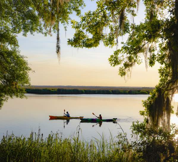 Kayaking in the Golden Isles