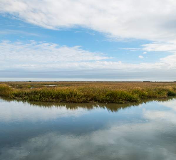 Salt Marshes over Little St. Simons Island