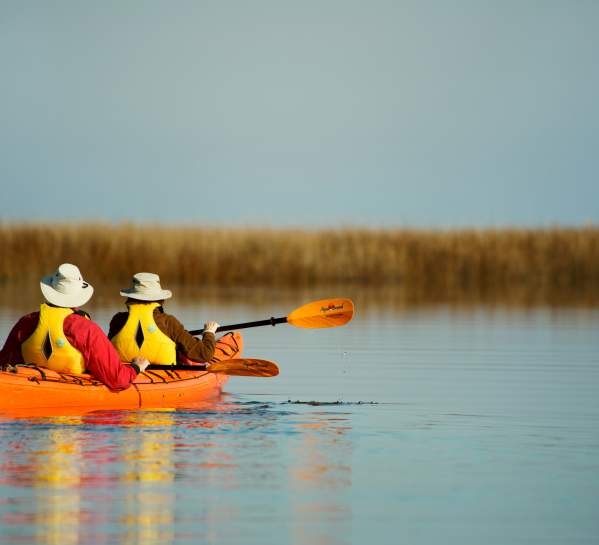 Kayaking on the Golden Isles waters