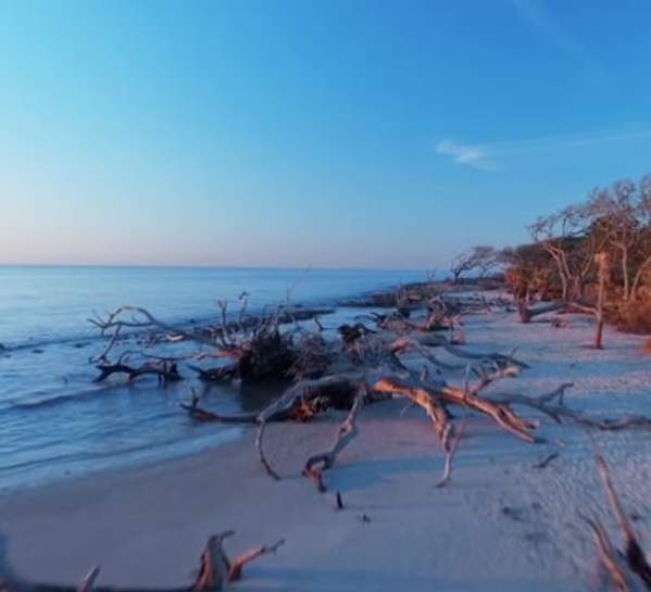 Video Thumbnail - vimeo - Driftwood Beach, Jekyll Island