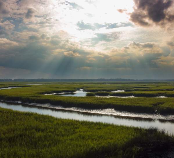 Golden Isles Marshes