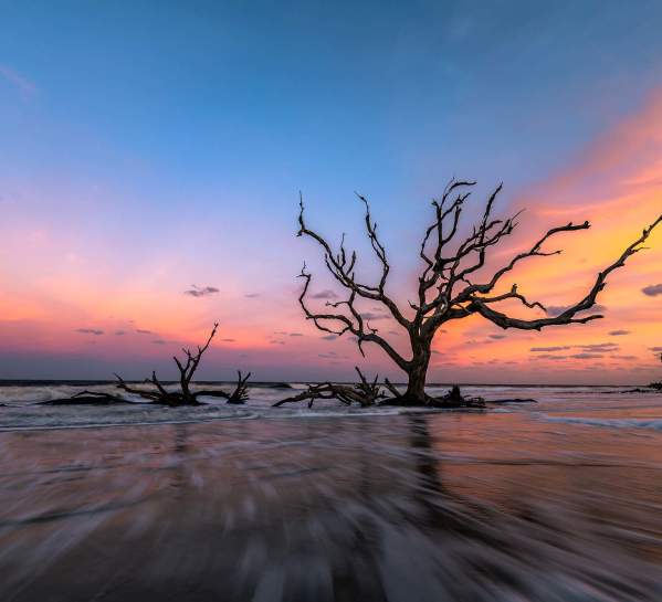 Driftwood Beach is one of the most popular beaches on Jekyll Island, GA