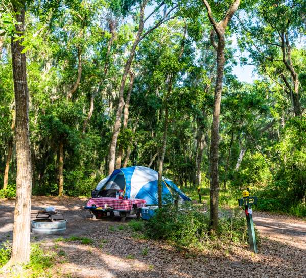 Guide to Camping on Jekyll Island