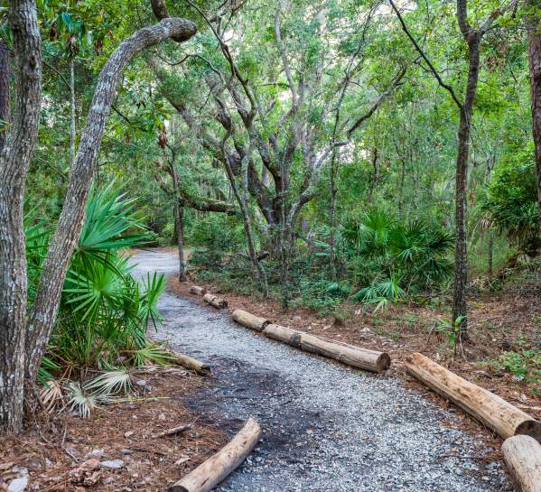 The John Gilbert Nature Trail winds through ancient maritime forest on St. Simons Island, Georgia