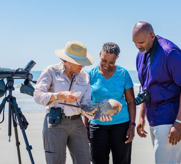 A naturalist teaches guests about wildlife found on the beaches on Little St. Simons Island, Georgia