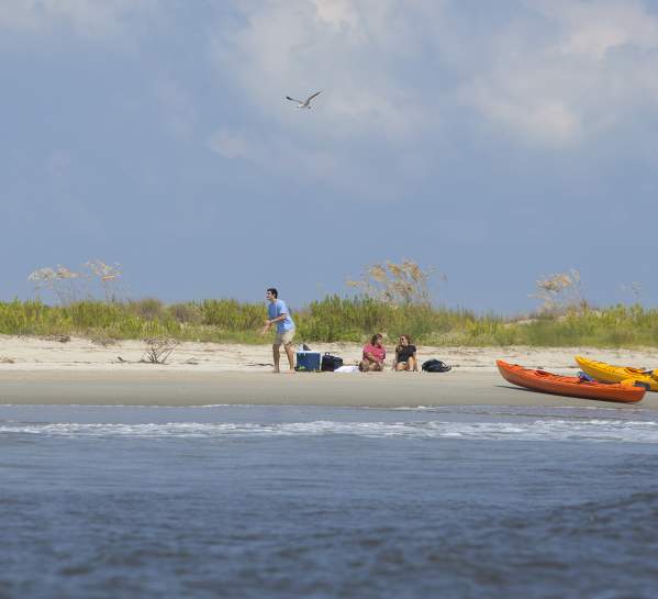 Kayaking in the Golden Isles