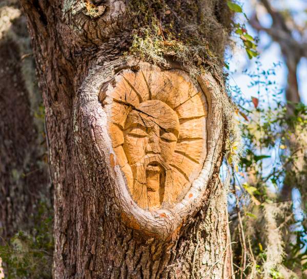 One of the famous and mysterious St. Simons Island Tree Spirits