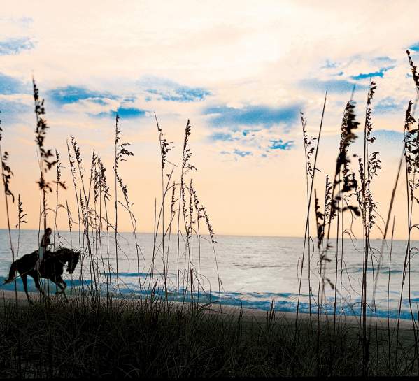 Sea Island offers horseback rides on the beach | Golden Isles, GA