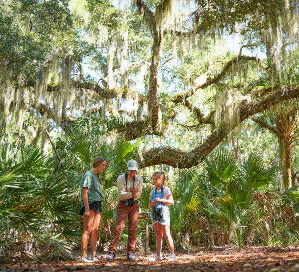 Top 10 Island Tours in the Golden Isles
