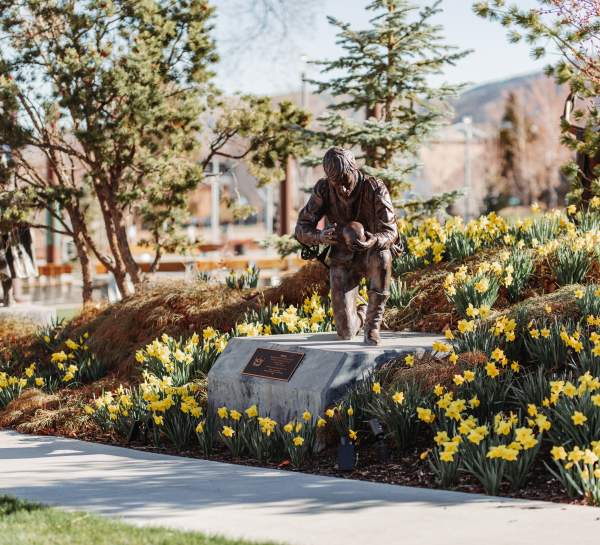 Daffodils in the Shakespeare Garden at the Beverley Center for the Arts