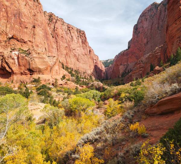 Kolob Canyons, Zion National Park, Fall