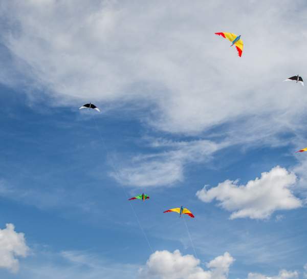 Americ 250: Kite Festival