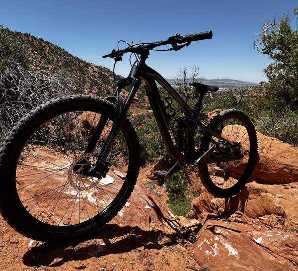 Dirty Therapy Bike Rentals