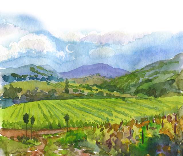 A Field Guide to Sonoma Valley