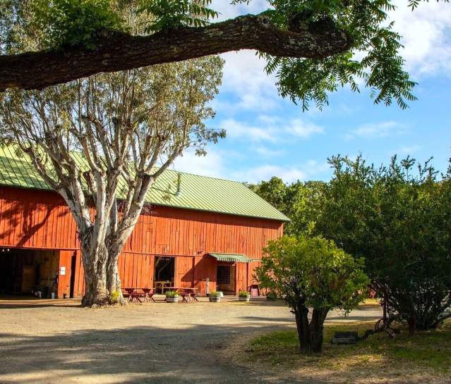 Farm Fun in Sonoma Valley