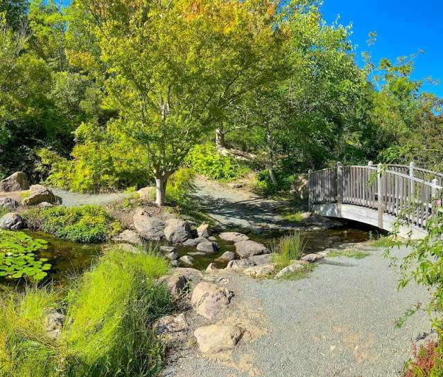 Three Days in Sonoma Valley: Spring Edition