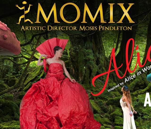 MOMIX's ALICE