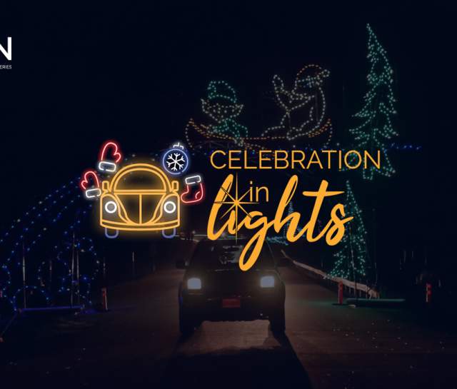 Celebration in Lights