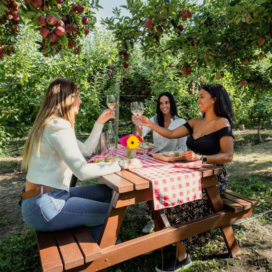 Explore Kelowna’s Wine Spots: 3 Experiences Beyond the Tasting Room