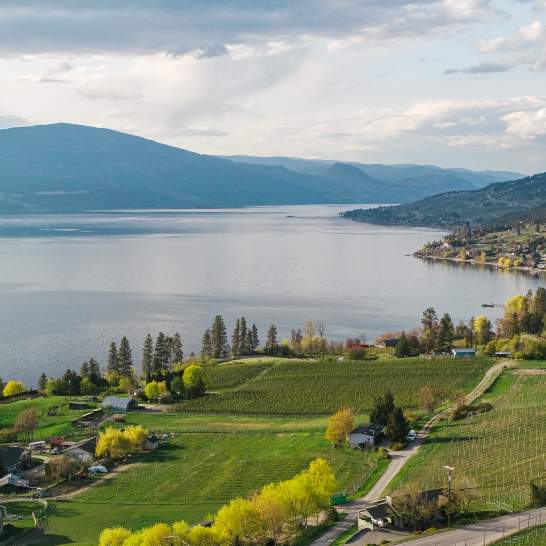 Turn Your Kelowna Business Trip into a Wine Country Escape