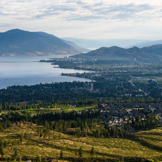 See More, Stress Less: Book A Spot-to-Spot Guided Tour