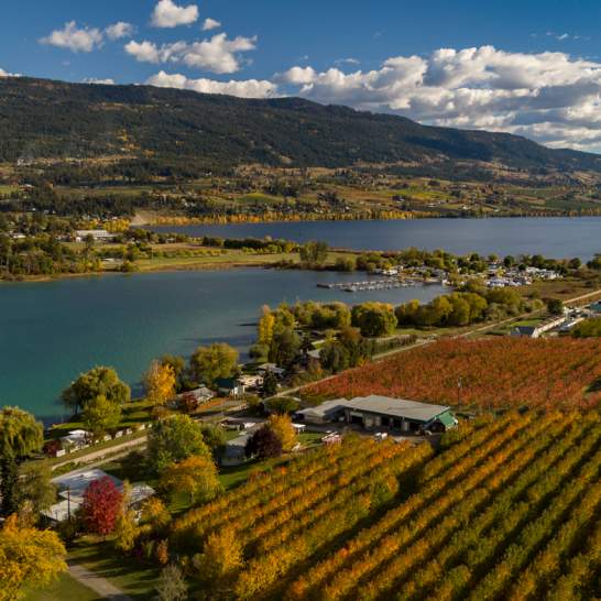 Explore Kelowna with a Wellness Focus this Fall