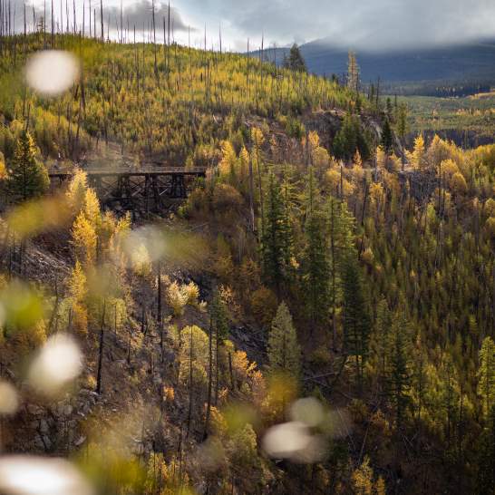 Top Kelowna Parks for Fall Strolls & Picnics