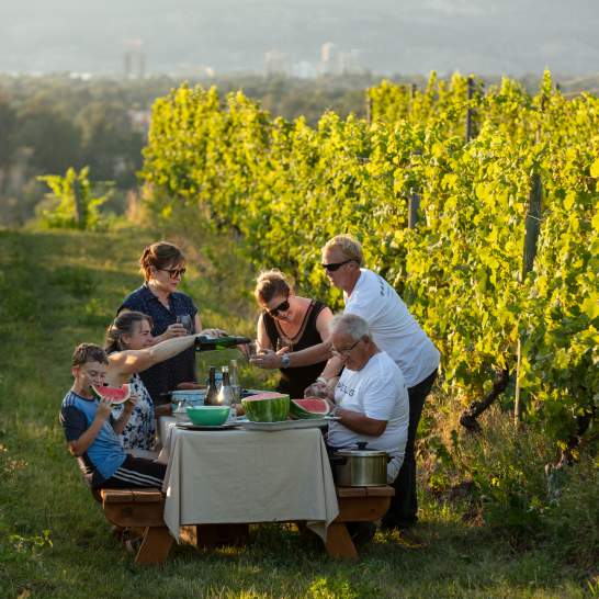 Family-Friendly Wineries in Kelowna and Beyond