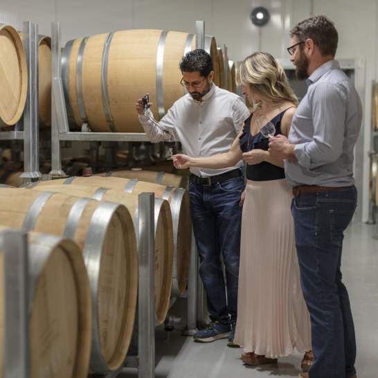Behind the Scenes: Winery Tours and Experiences in Kelowna