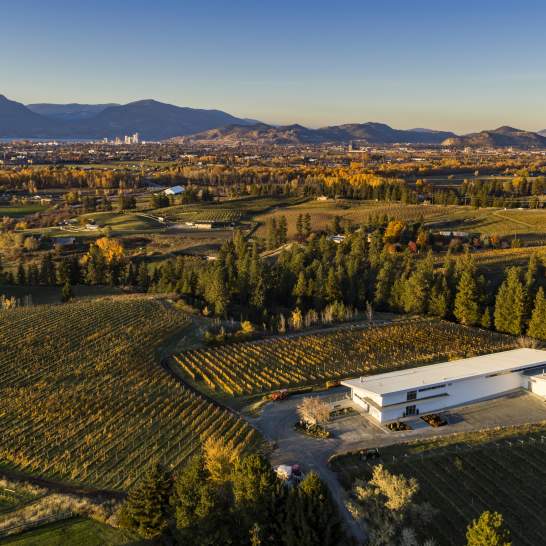 Land to Table: Discover Kelowna's Culinary Ecosystem