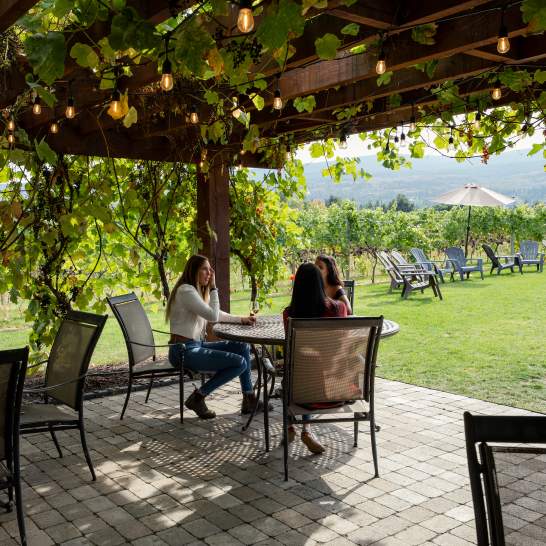 What to Do in Kelowna When Friends & Family Visit This Summer