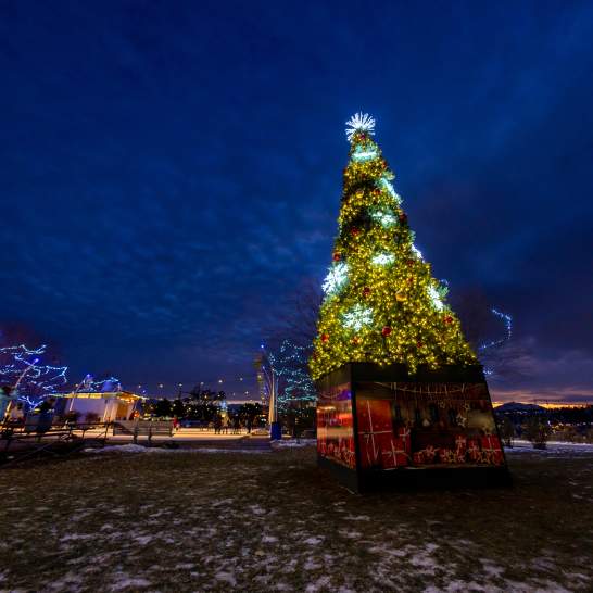 Holiday Cheer in Wine Country: Christmas Events at Kelowna and Area Wineries